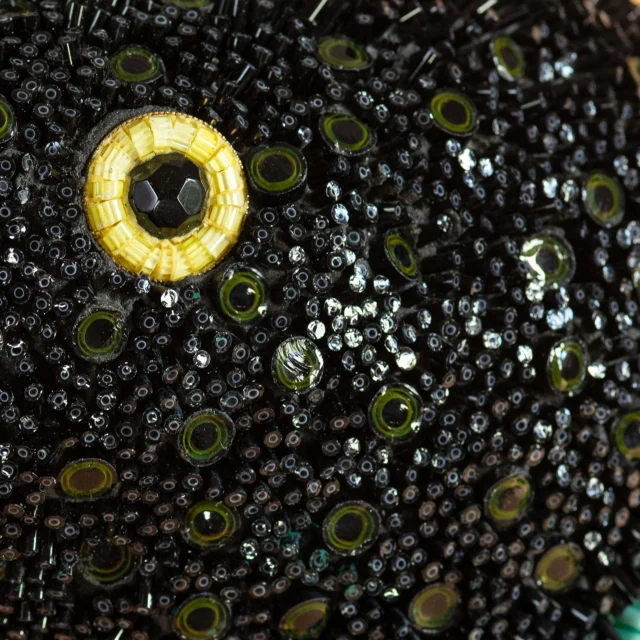 Black Bird, dettaglio del piumaggio in mosaico nero, Dusciana Bravura