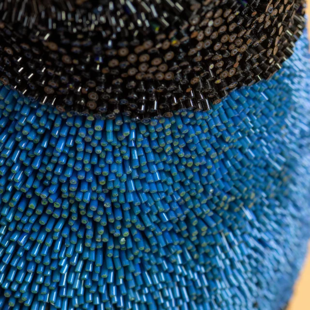 Black Bird, dettaglio della coda in mosaico nero, Dusciana Bravura