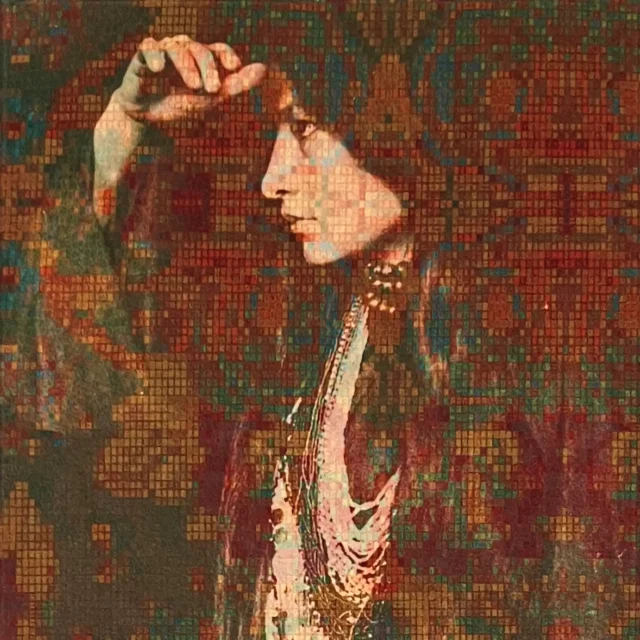 Ritratto di Zitkala-Sa, donna pioniera e attivista nativa americana. Opera facente parte della mostra "L'intelligenza di Venere" di Dusciana Bravura.